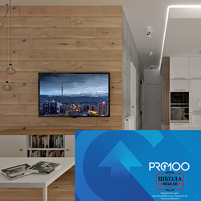 visual _pro100-1 visual pro100 1